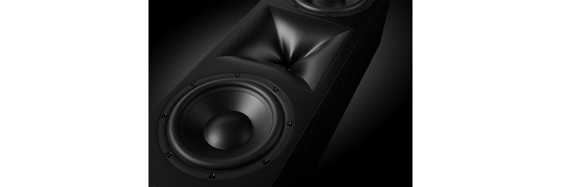Dual 10-inch (250mm) Carbon Cellulose Composite Cone (C4), cast-frame woofers